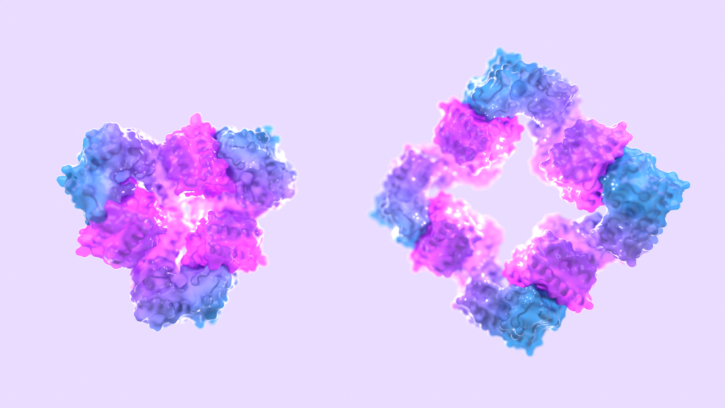 Computer-generated proteins can now change shape.