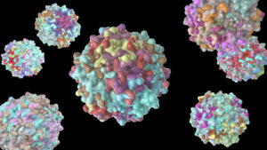 AAV virus