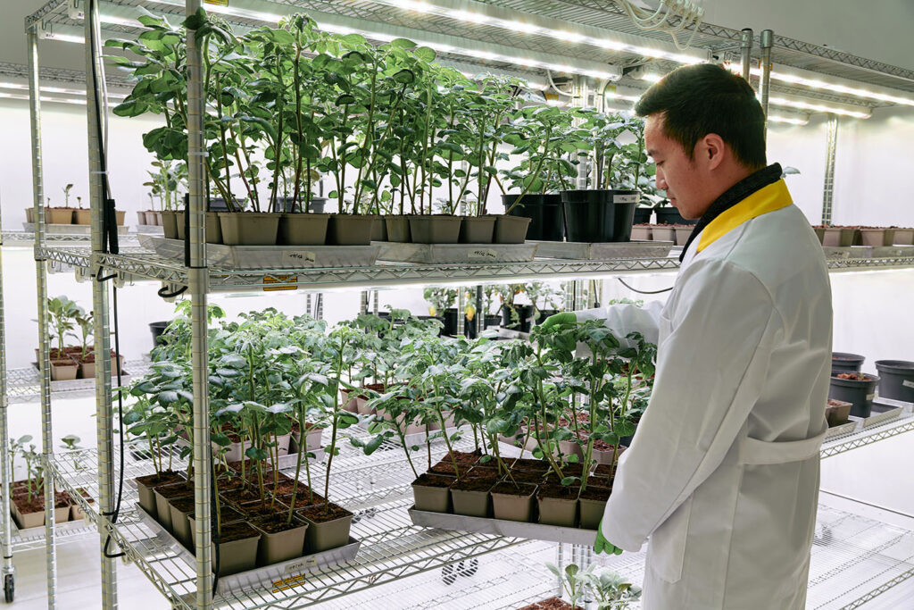 Biotalys protein-based biocontrol solutions