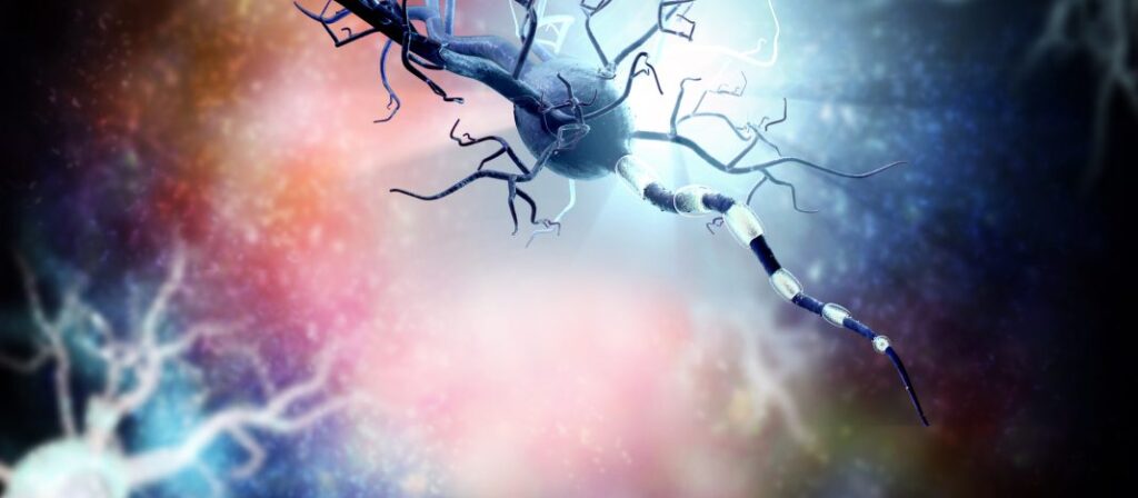 Graphic image of nerve cells