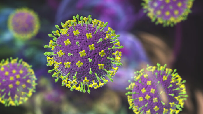 Nipah virus particles, illustration Nipah virus