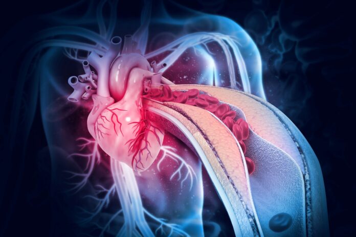 Image of cardiovascular system centered on the heart