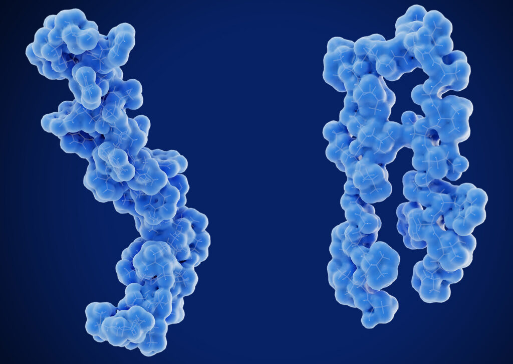 Amyloid beta peptide