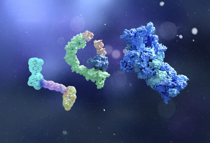 Getty_2147604597 Components of targeted protein degrader drug technologies, illustration