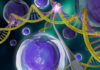 Gene Editing Marches On Despite Missed Beats Base editing illustration