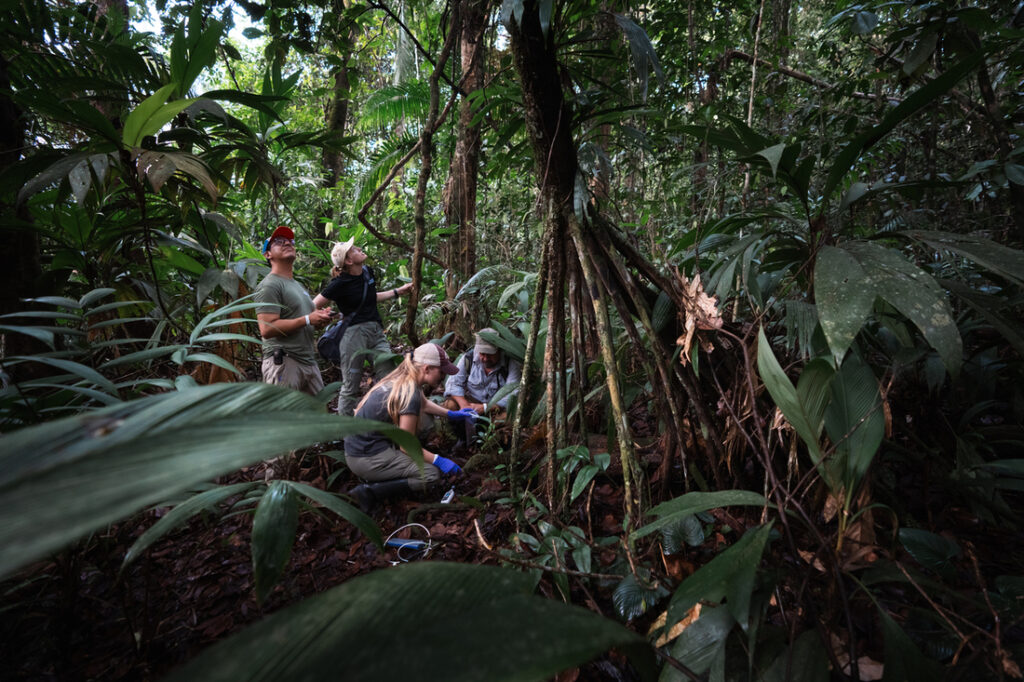Basecamp Research collecting samples in Costa Rica [Coldhouse Collective]