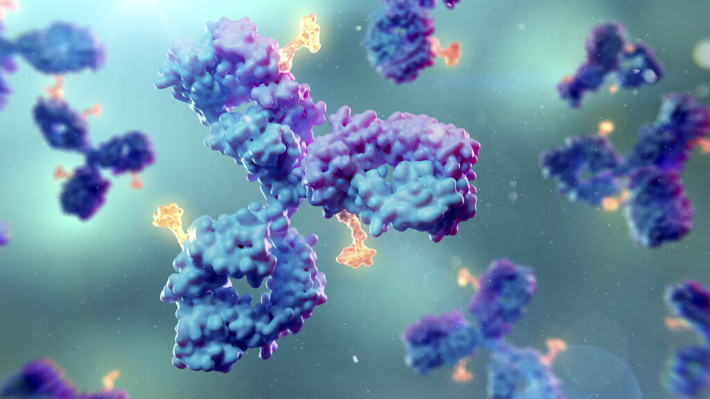 antibody drug conjugates