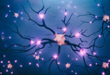 Exosomes Linked to Nerve Irritation, Dysfunction, and Lingering Pain After Shingles