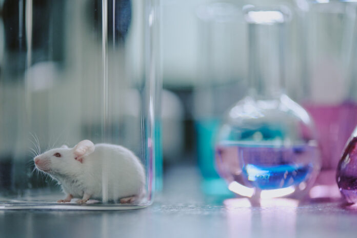 Observing White Mouse in Laboratory Environment