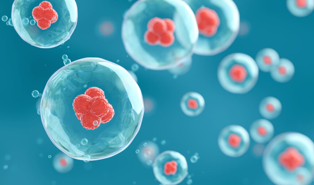 multiple cells in a liquid environment