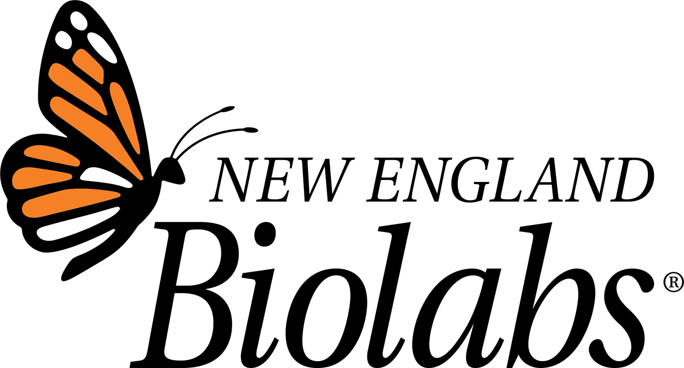 How NEB’s Customized Solutions Team Drives Innovation and Partnership in Biotech