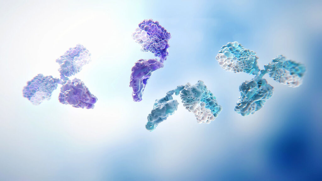 Bispecific antibody