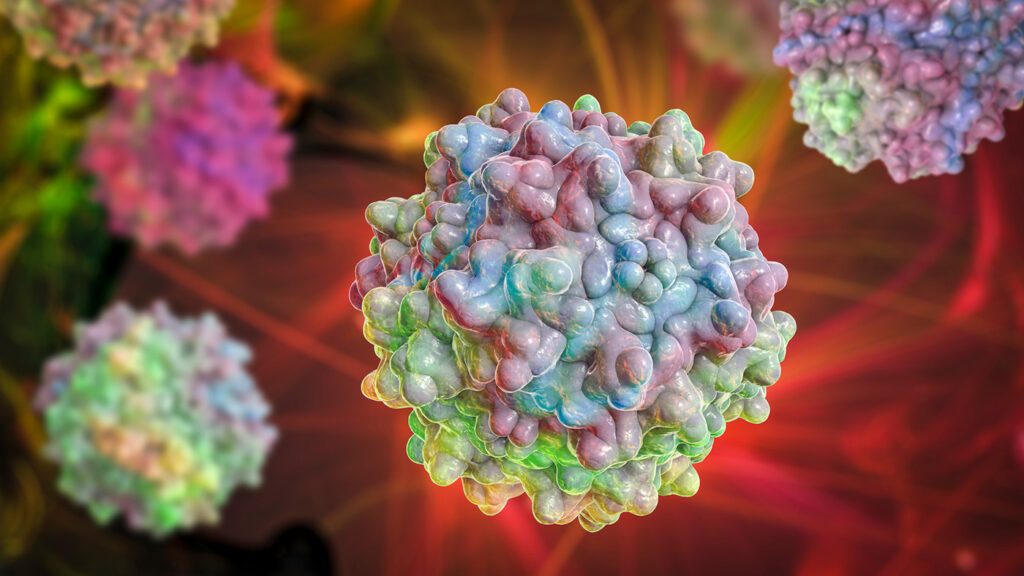 Adeno-associated virus