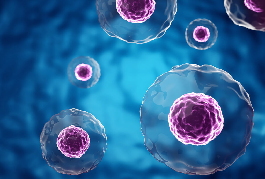 Stem cells