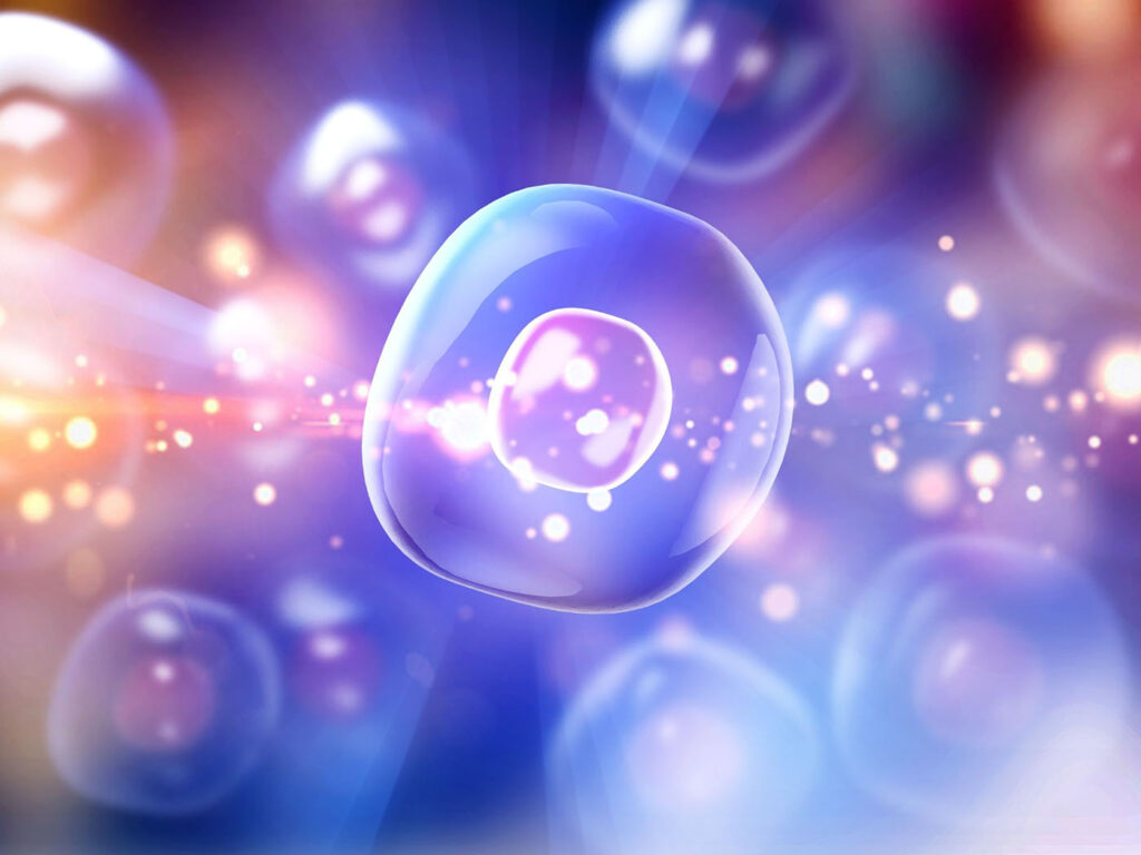 Human Cells