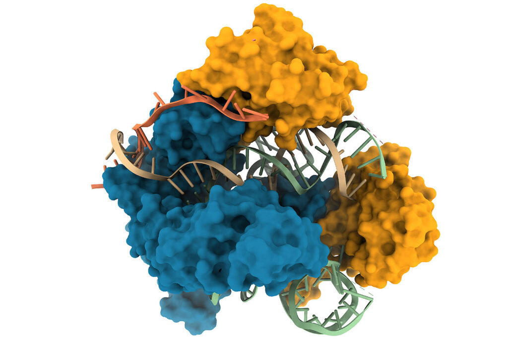 NanoCas illustration