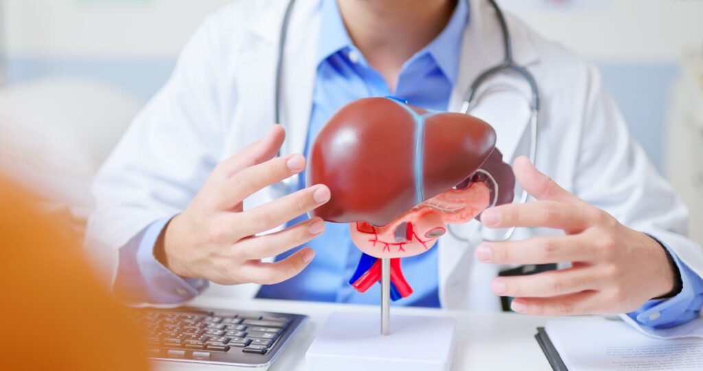 liver photo