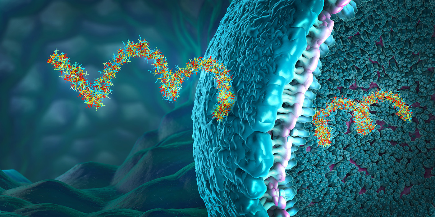 De-Risking RNA Therapeutics with High-Resolution Sequencing