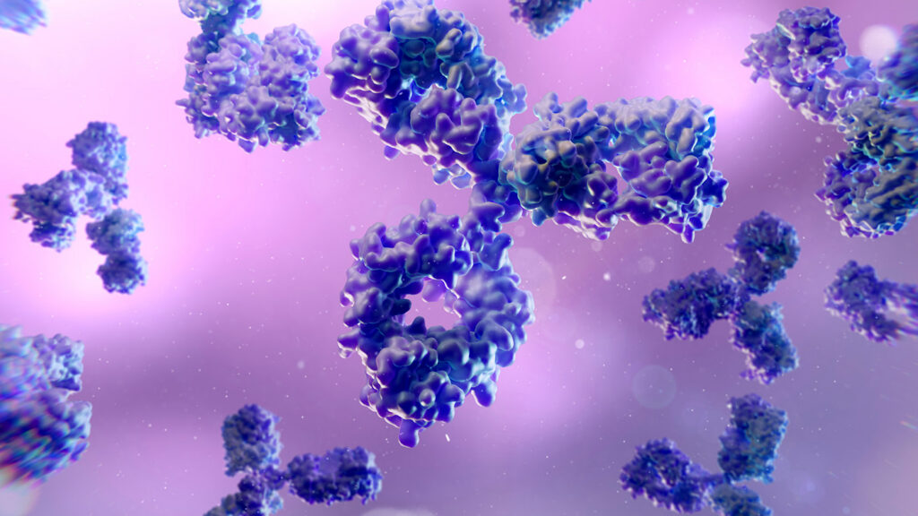 Antibody drug