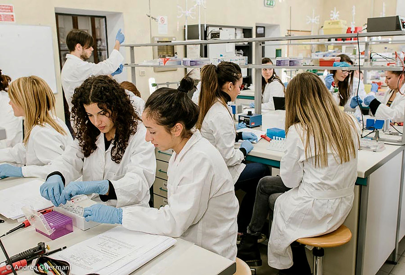 PI3Kγ: A New Approach to Respiratory Relief