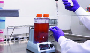 Cell culture mixing within PBS Mini bioreactor