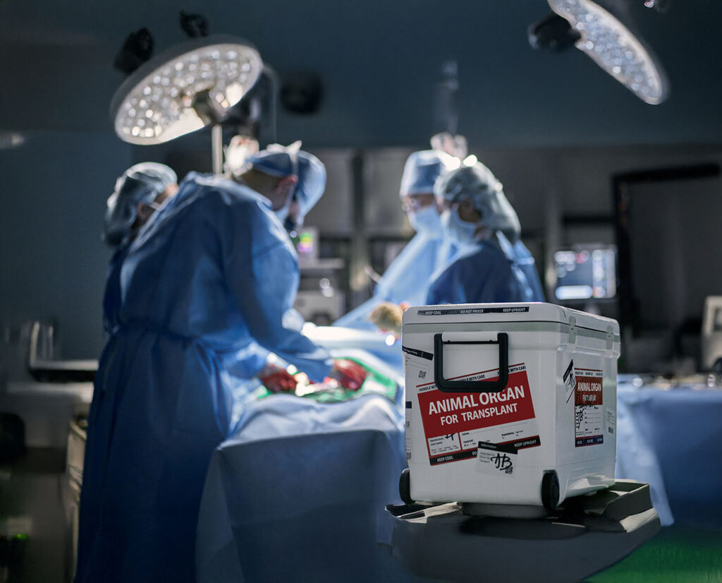 Surgeons in Operating Room