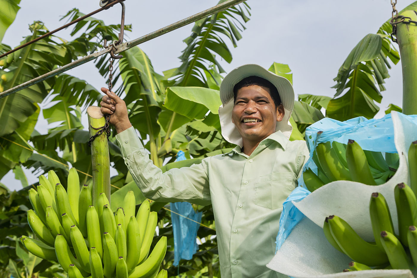 AgBio: Redesigning Tomorrow’s Crops