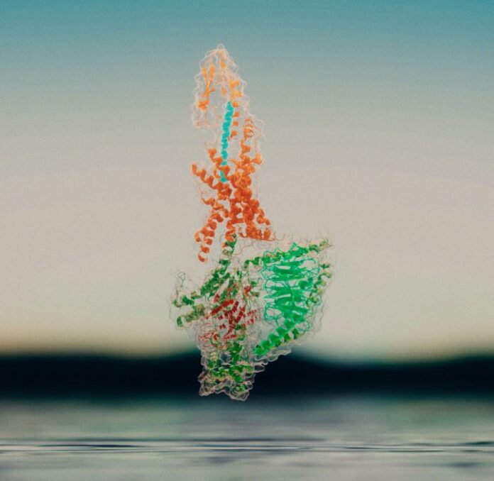 Image of glucagon=like peptide-1 (GLP-1) receptor obtained via cryogenic electronic microscopy (cryo-EM) receptor. [Thermo Fisher Scientific