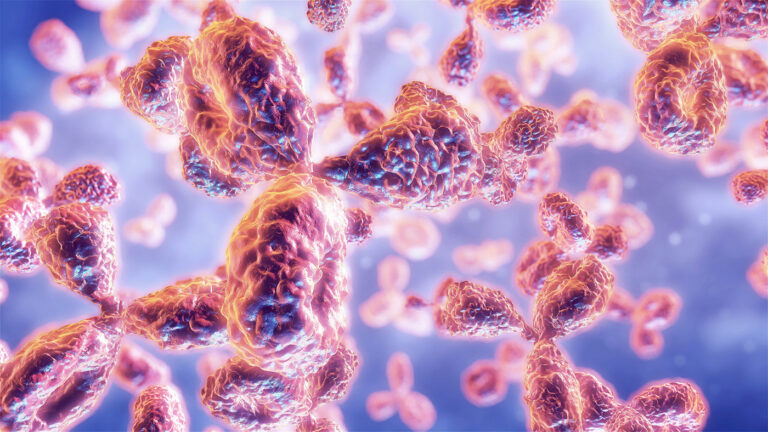 Ginkgo Datapoints, Apheris Announce Founding Members of Antibody Developability Consortium