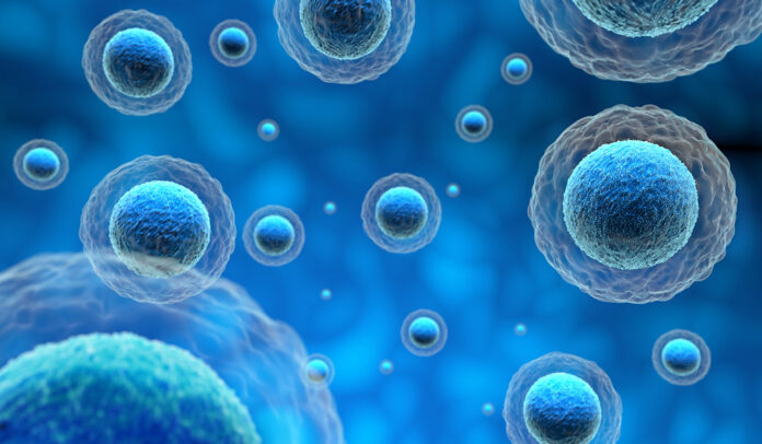 group of human cells in a blue background