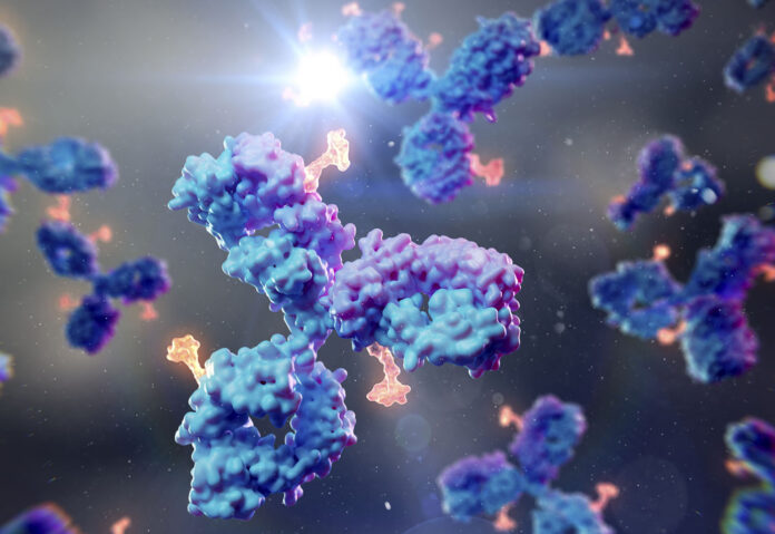 Antibody drug conjugate, illustration Antibody–drug conjugates
