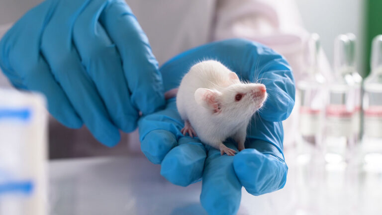 Biomimetic Nanoparticles Trigger Light Responses in Blind Mouse Retinas