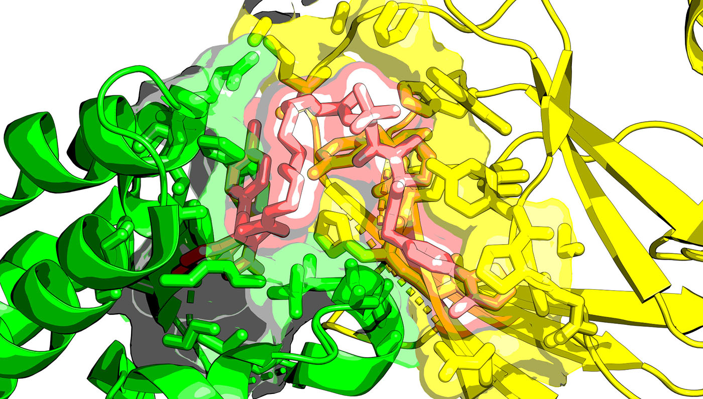 Expanding the Druggable Proteome with Tech Advances