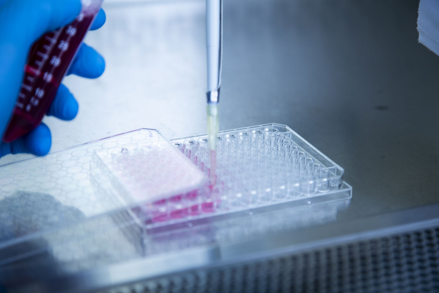 Cell Line Development Has to Evolve