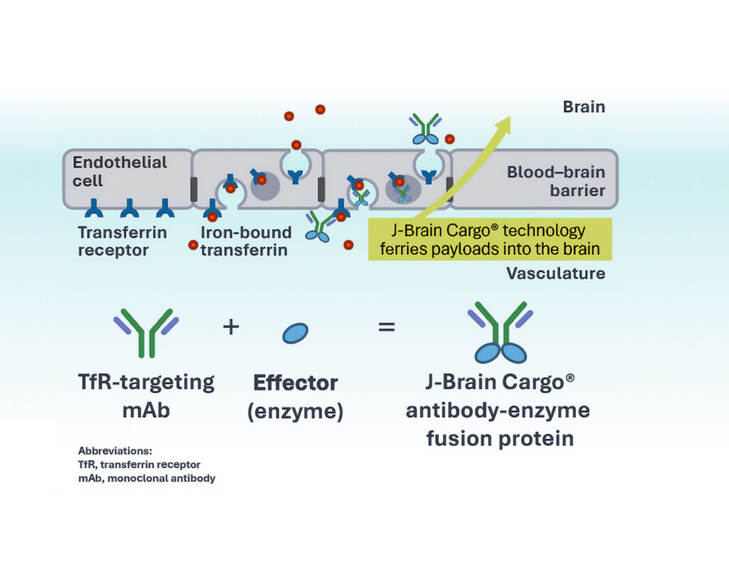 blood-brain barrier penetration technology diagram