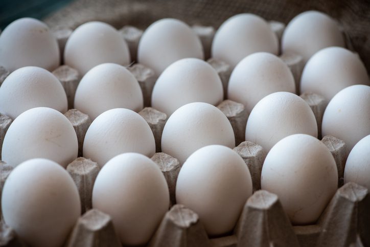 From Colossal to Chickens: The Scientists Behind Neion Bio’s Biologics Platform