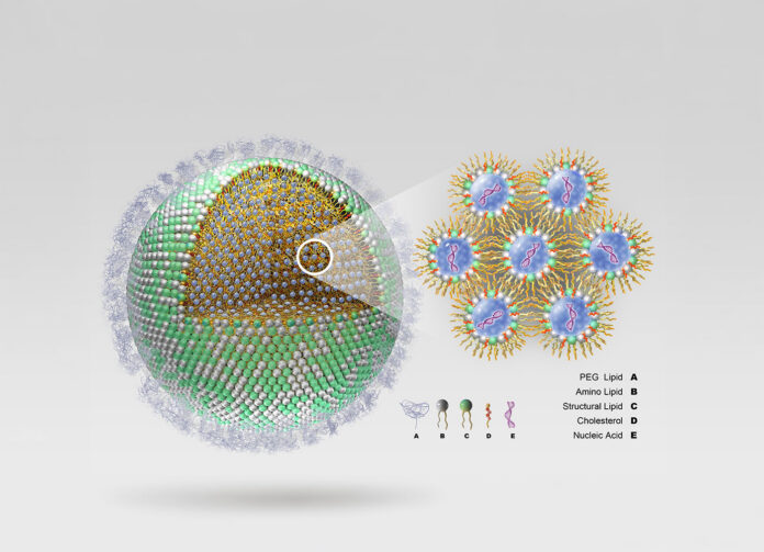 lipid nanoparticle (LNP)