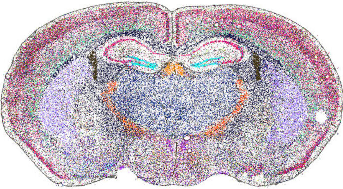 Spatial Biology Moves Cancer Research Forward