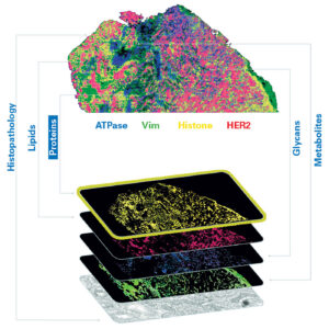 photocleavable mass tags