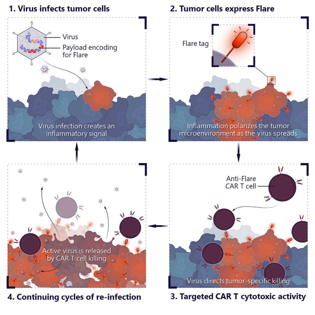Tumor Specific Virus Diagram