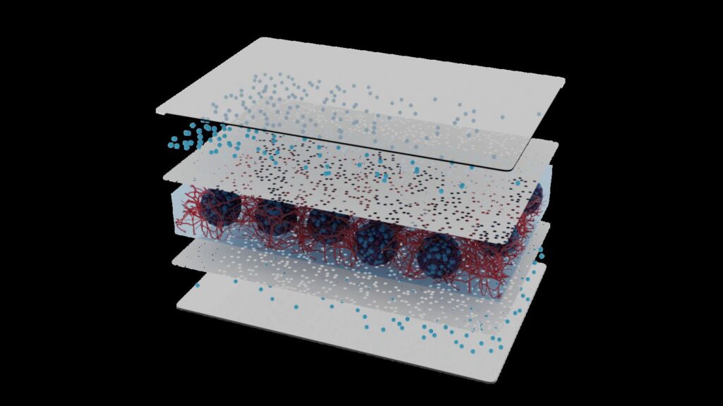 Multilayer biochips for complex, 3D in vitro cancer models [Dynamics42]