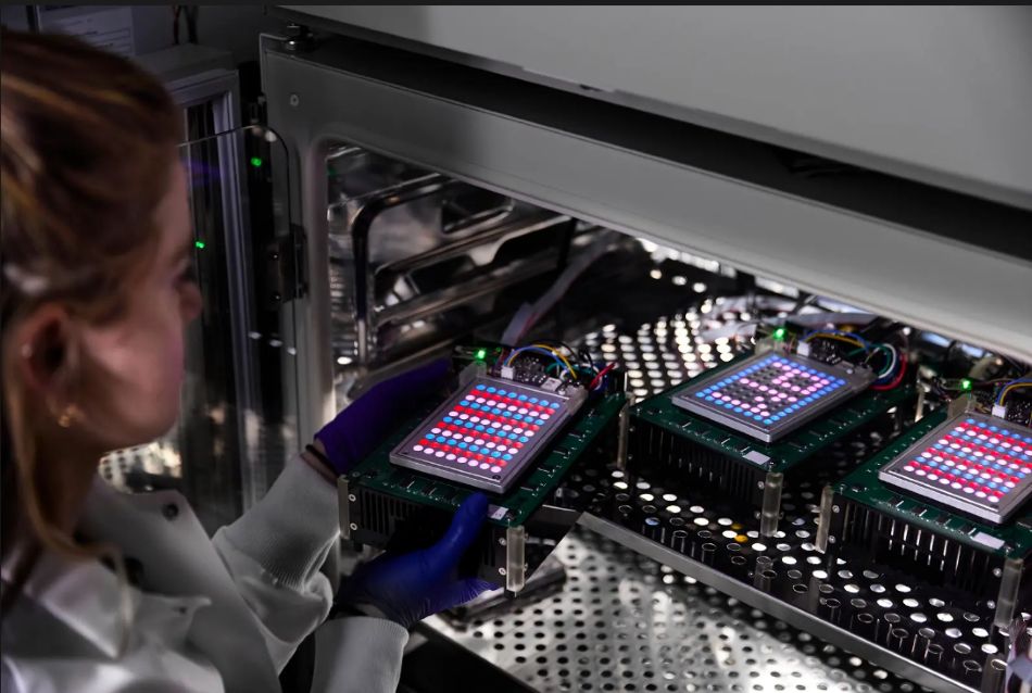 Light-Controlled Gene Expression Platform Reportedly Doubles Standard Fed-Batch Manufacturing Performance