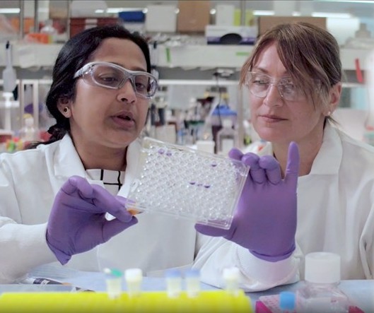 BMS, Hengrui Pharma Partner on 13 Programs in Up-to-$15.2B Collaboration
