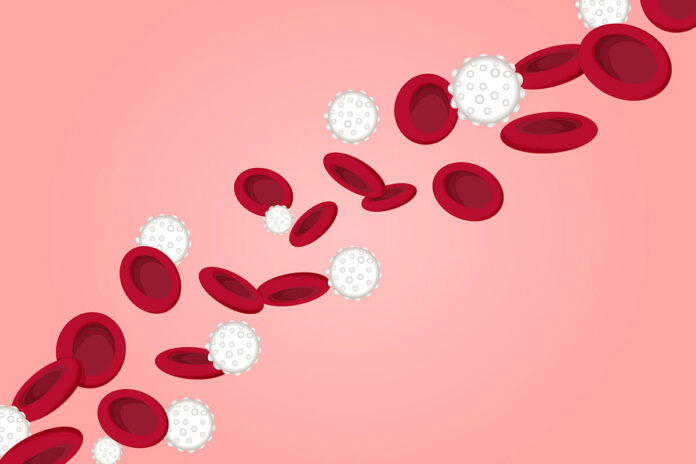 A new study led by WashU Medicine researchers shows that, for blood cancer patients, a genetically engineered stem cell transplant helps prevent toxic side effects and potentially improves the effectiveness of therapies.[Sara Moser/WashU Medicine]
