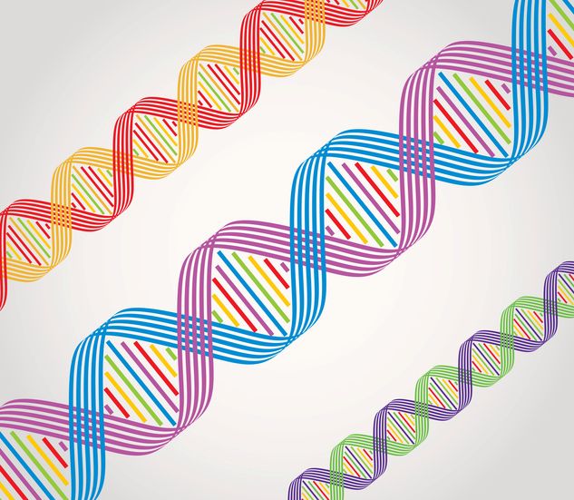 Stable Producer Cell Line Generation Platform Adds to VIVEbiotech’s Lentiviral Vector Manufacturing Capabilities