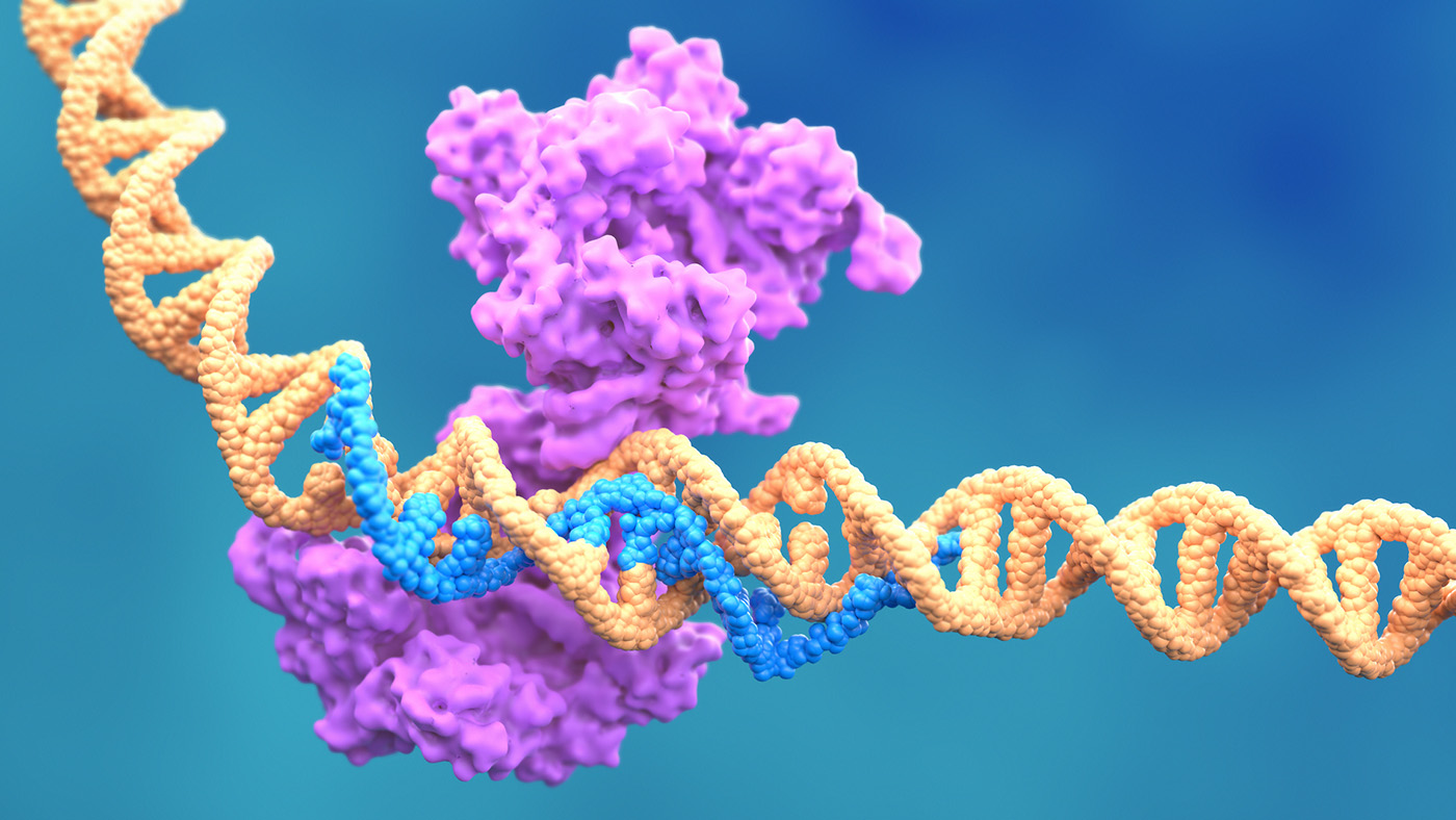 Optical Pooled CRISPR Screen Reveals Regulators of NF-κB Dynamics in Human Cells