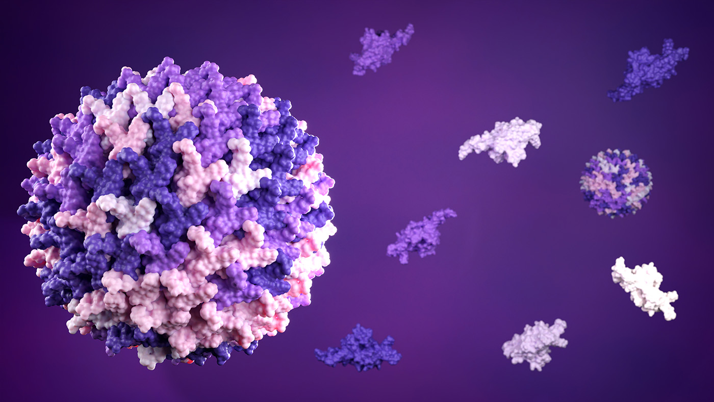 AAVs in Focus: Practical Approaches to Capsid Analytics and Plasmid DNA Control