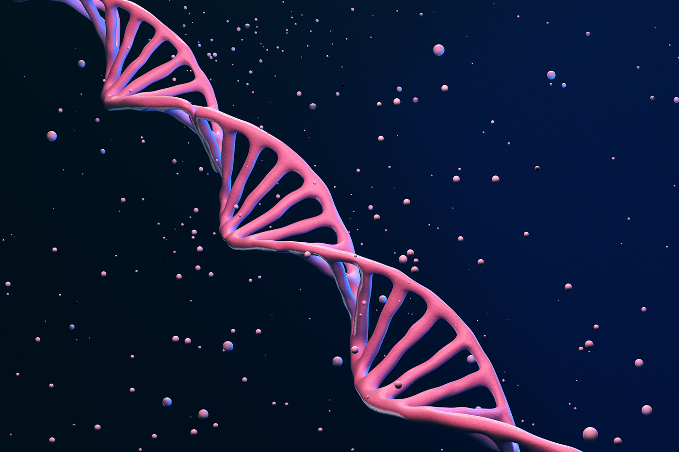 Codon Optimization Isn’t Equal: Benchmarking Gene Design for Antibody Expression