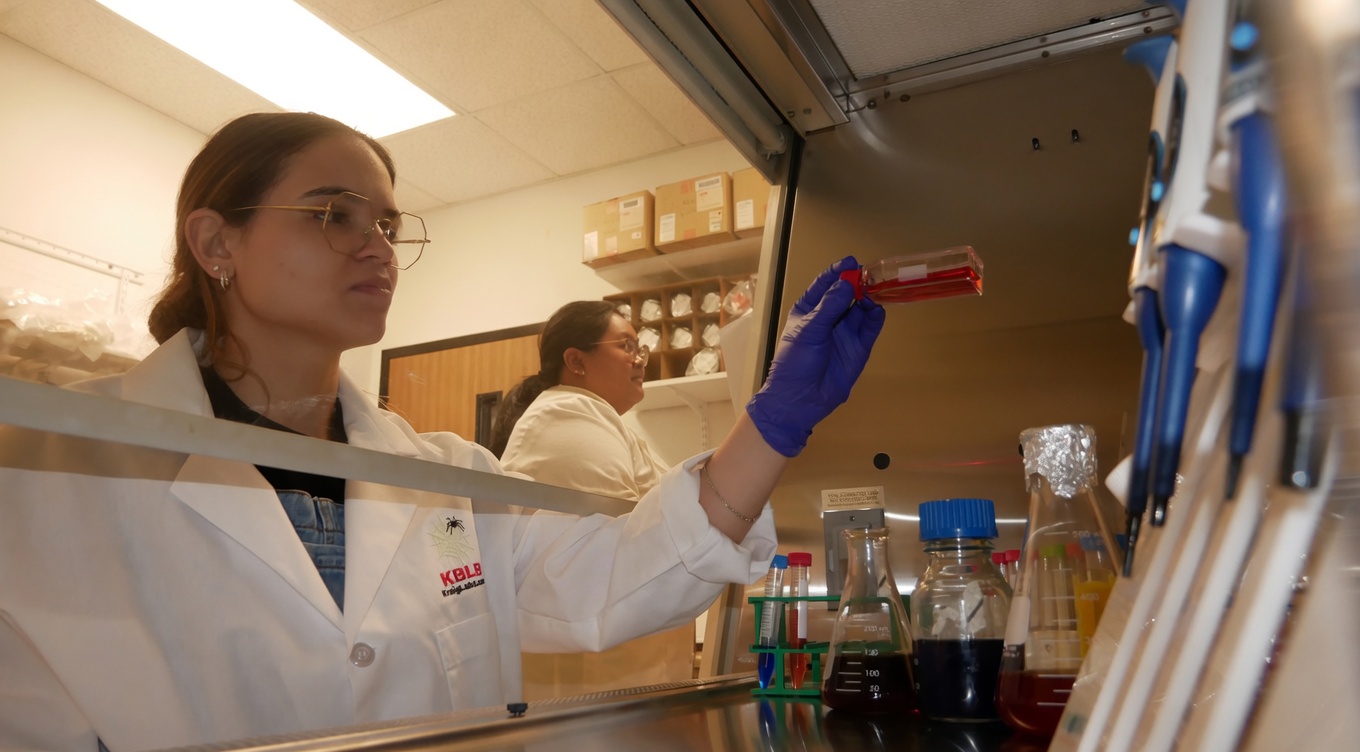 Kraig Biocraft Labs Creates Immortalized Silk Gland Cell Line