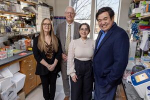 From left, Duke University School of Medicine researchers Susan K. Murphy; Andrew Berchuck, MD; Yasaman Setayeshpour, PhD, and Jen-Tsan Ashley Chi, PhD, are studying how a common class of cholesterol drugs, called fibrates, can strip away a key defense used by ovarian cancer cells, making them more vulnerable to treatment. [Duke University School of Medicine/Mark Dolejs]